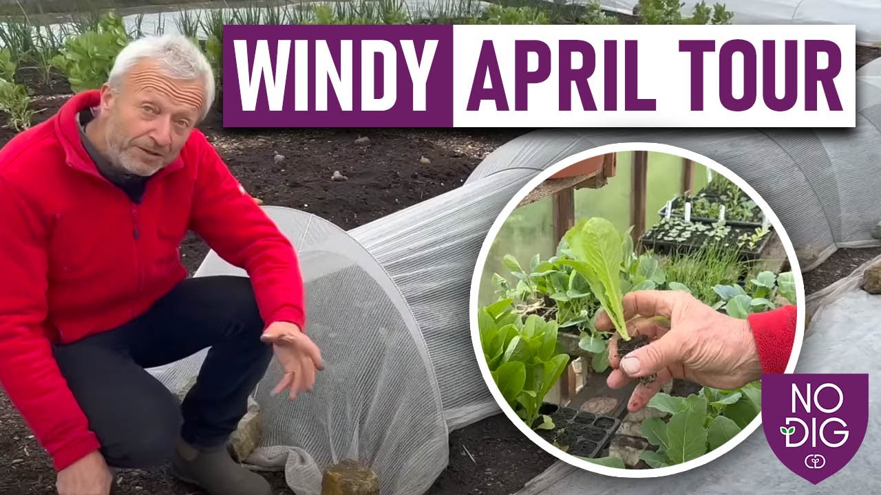 Embracing the Winds: A Tour of the Windy April Garden and the Gentle Arrival of Spring