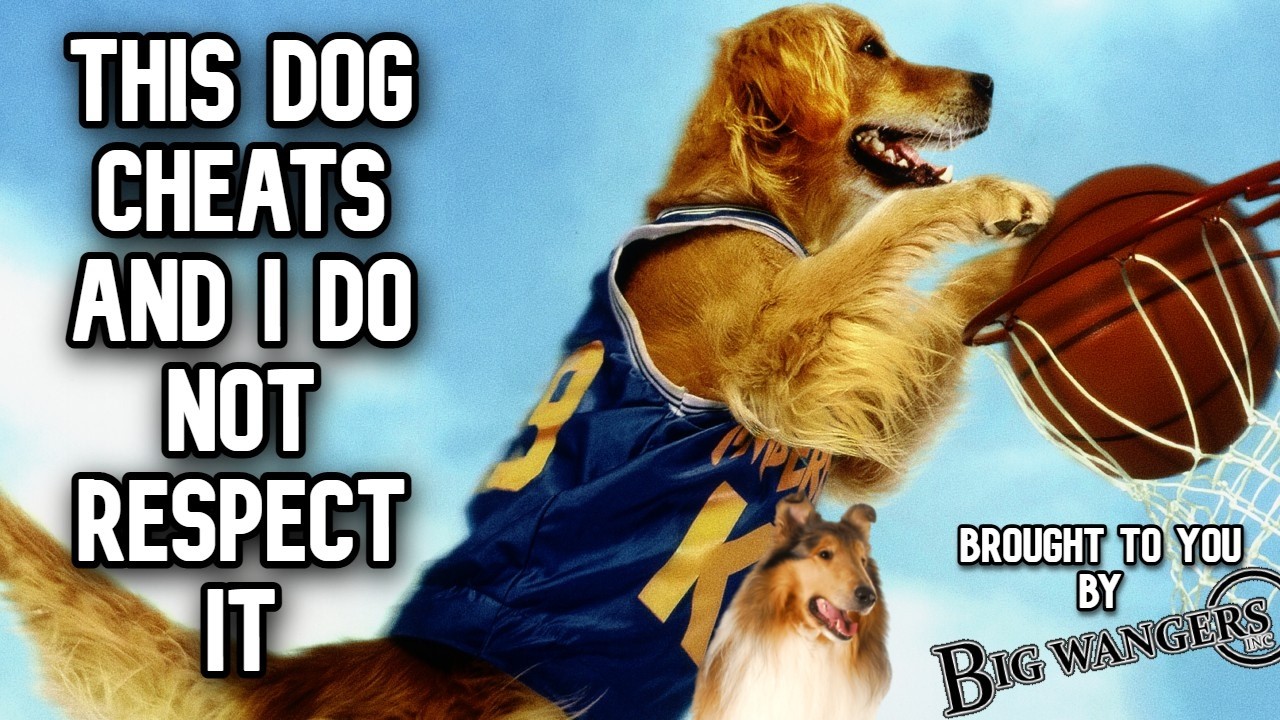 44 Minute Video Discussing the Ethics of Tackling Airbud (Featuring Lassie)