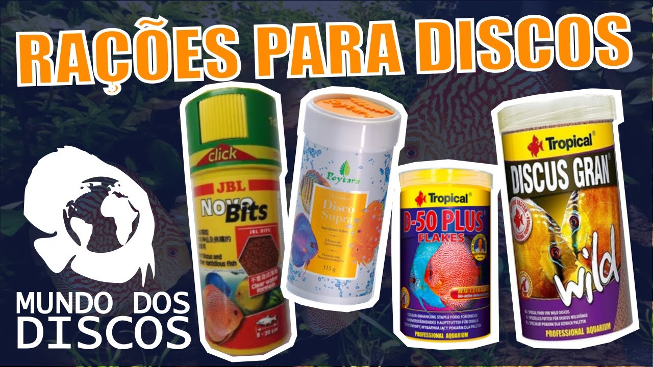 TUDO SOBRE RAÇÕES PARA ACARÁ DISCOS !