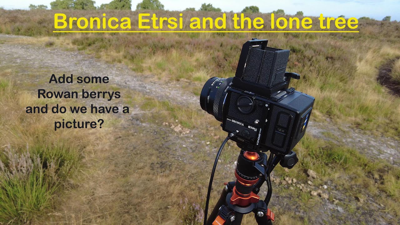 A day out with the Beronica Etrsi