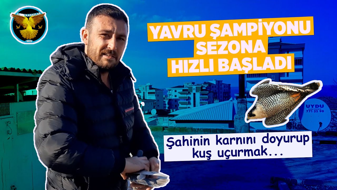 ŞAMPİYON BU YILDA İDDİALI / BEKİR ÜRÜN / ALTIN KANATLAR