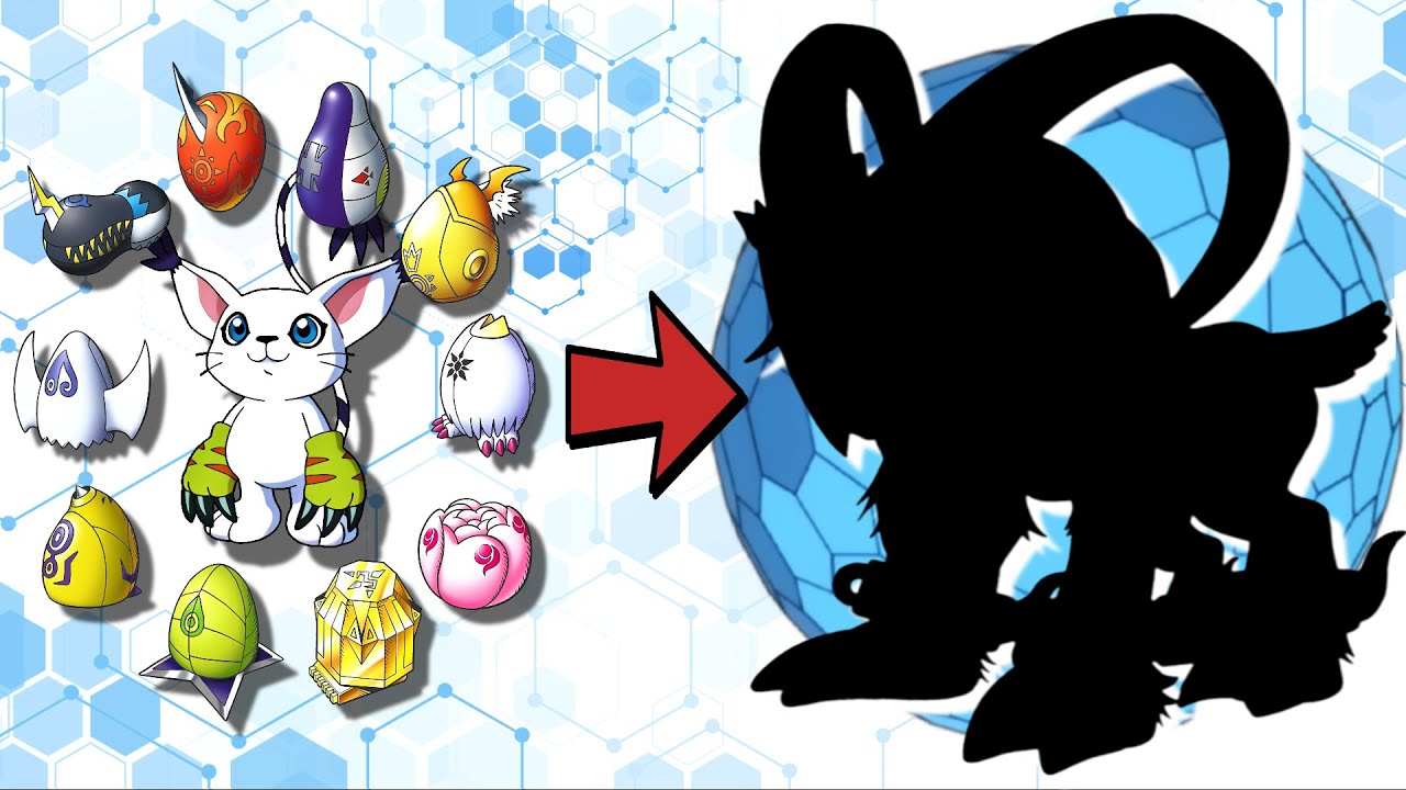 GATOMON ARMOR EVOLUTIONS!