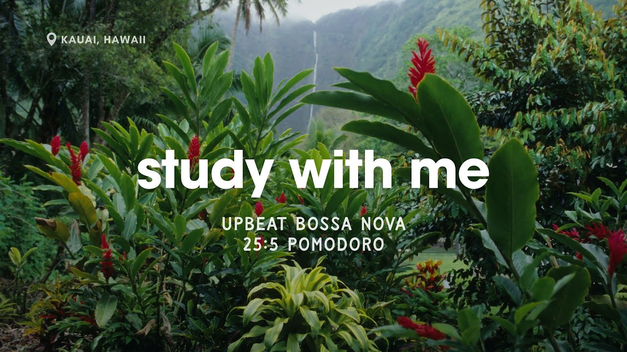 2-HOUR STUDY WITH ME 🌴 Upbeat Bossa Nova for Energy and Focus | 25:5 Pomodoro