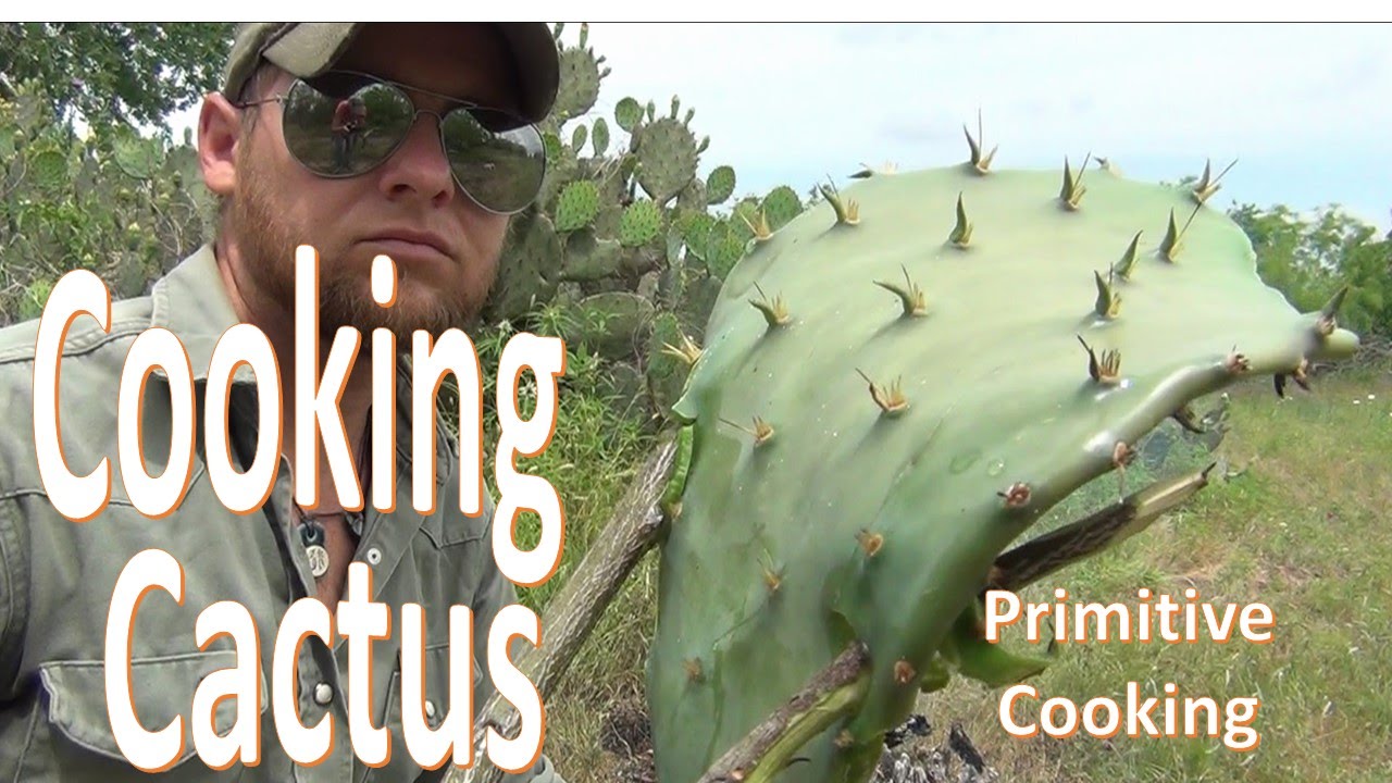 How To Campfire Cook Cactus Pads (Primitive Cooking)