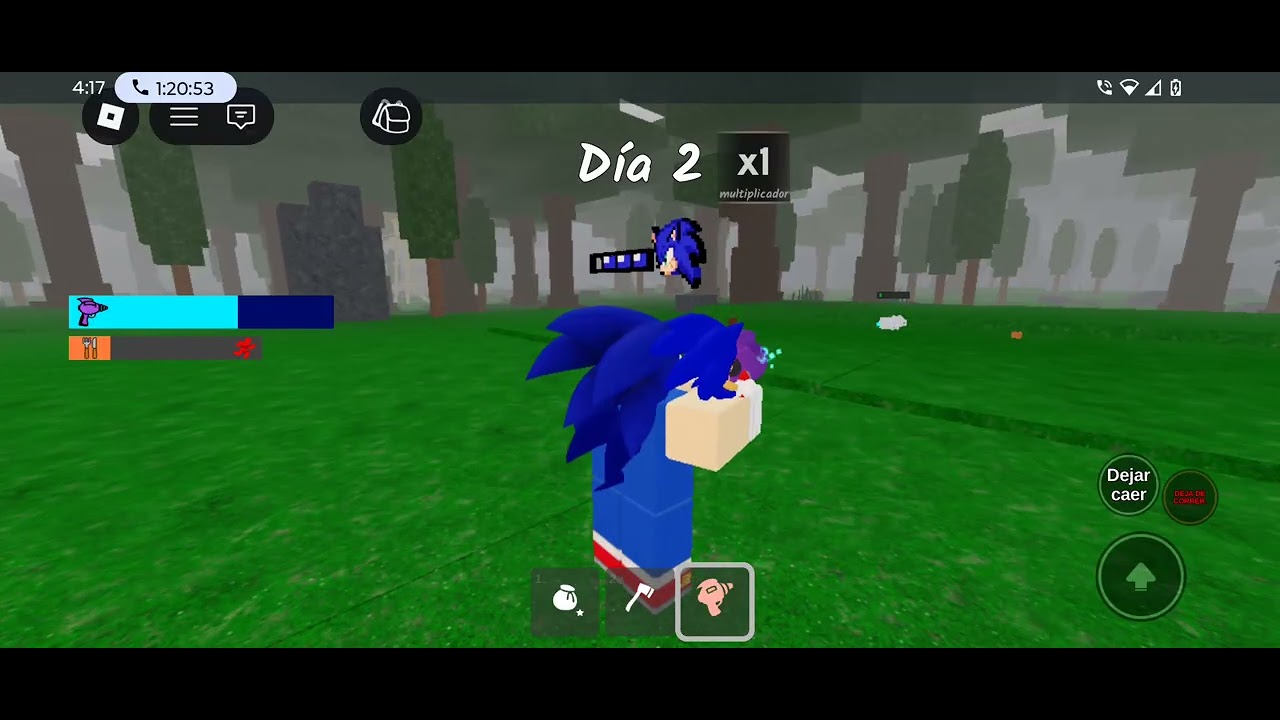 Jugando con amigos 