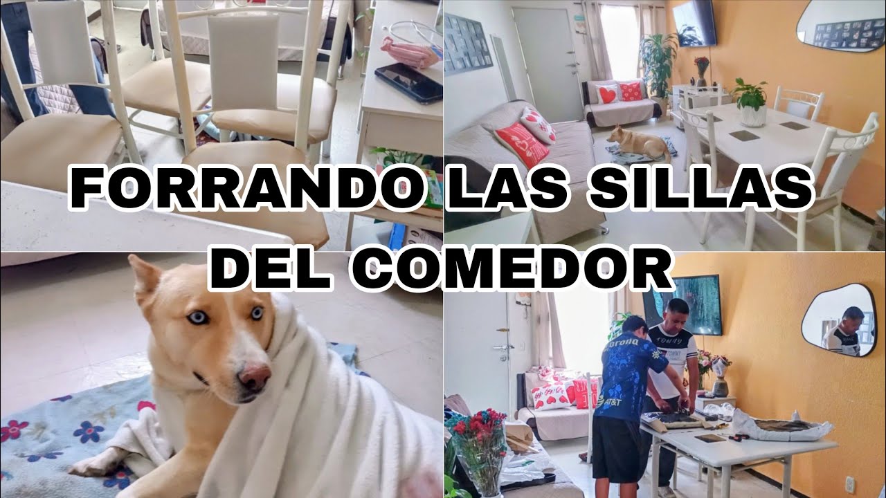 FORRANDO LAS SILLAS DEL COMEDOR ✅ YA NO ME GUSTO BLANCO 🤍 TEDDY LE REGALARON MUCHAS COBIJAS 👌🏻