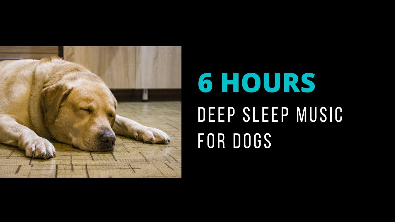 🐶 6 Hours Calming music for dogs during storms[No Ads] - Black Screen