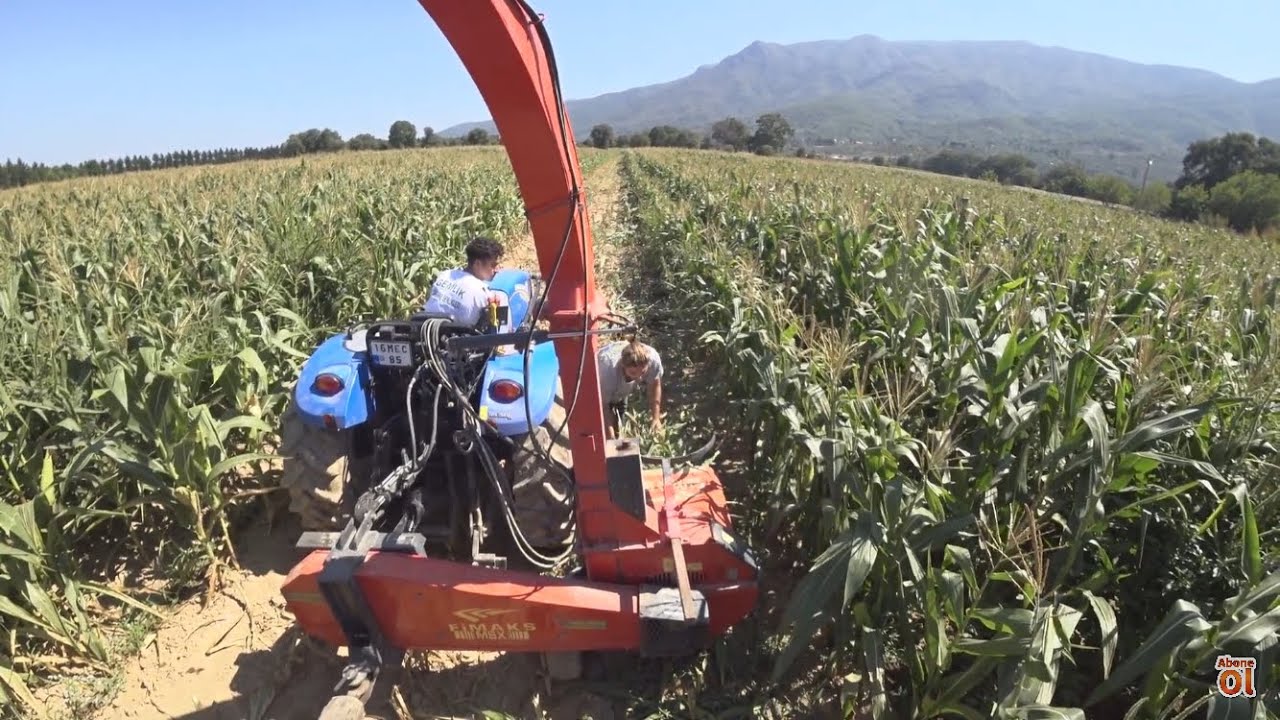 Mısır Silajına Hazırlık ~ Odun KesmeMakinesi İle Sıra Açma ~  NewHolland TD90~ Fimaks Silaj Makinesi