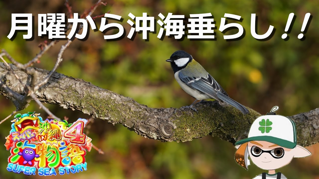 パーラーロイクロへようこそ✨【CRスーパー海物語IN沖縄4】#ポイ活 #パチンコ #ぱちんこ #海物語 #沖海 #game #ライブ #shorts #short #縦型配信 #asmr