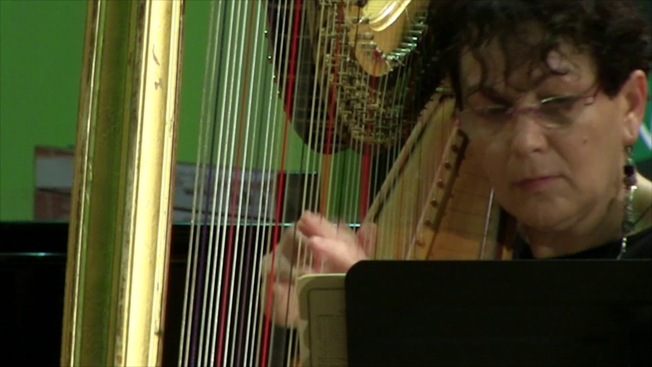 J.S.Bach- Sonata in G minor, BWV 1020,  Maria Bildea(Harp), Sergiu Nastasa (Violin)