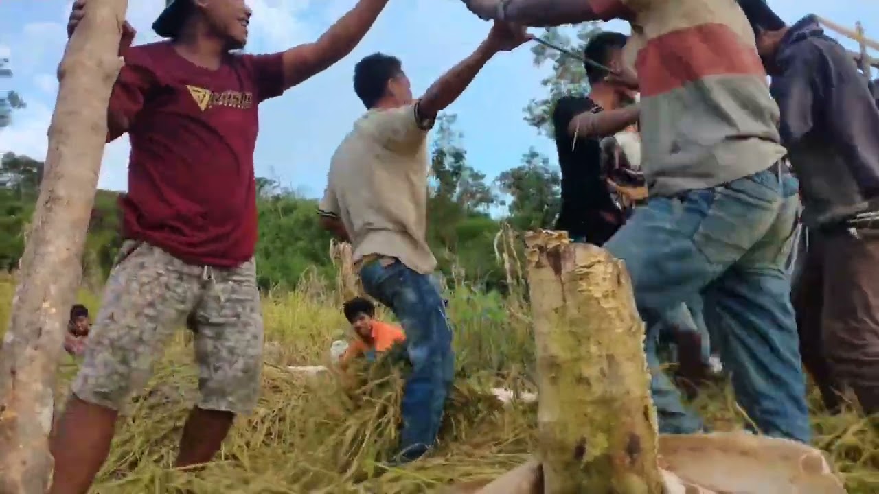 Parinah Uhu/injak Padi Dengan Ludu Pahangu Tau Katiku Wai