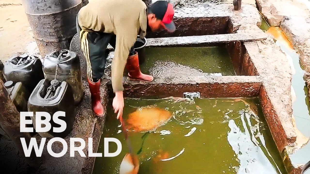 Inside Indonesia’s Hand-Pumped Oil Village And Death-Defying Hammocks #PICKDOCU