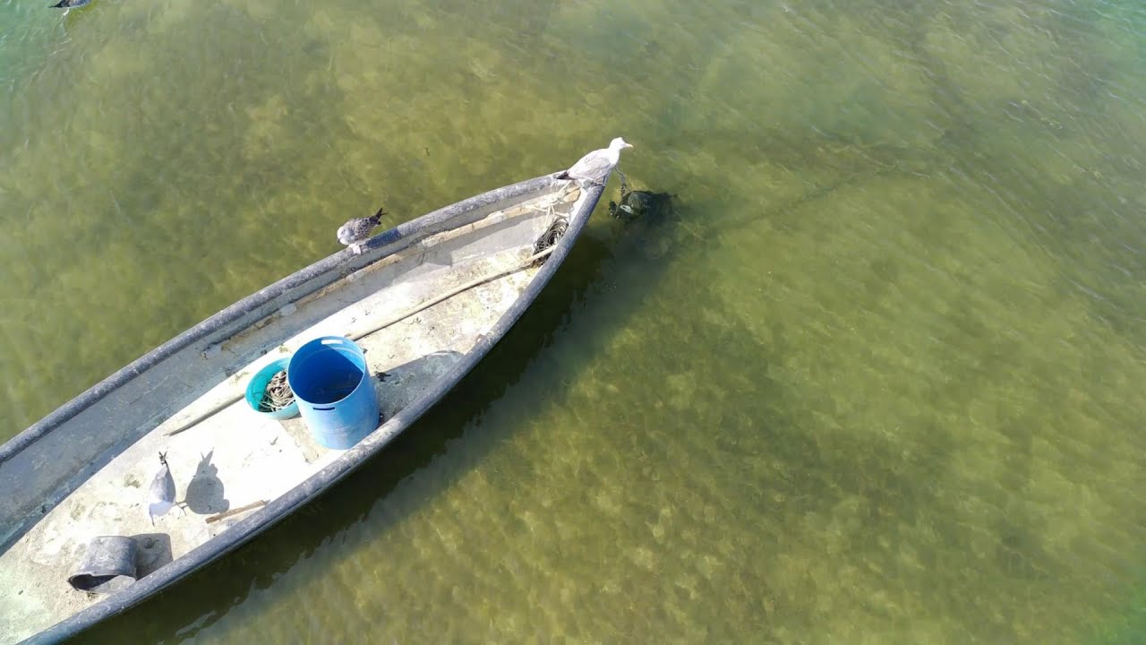 Étang de Canet Saint Nazaire