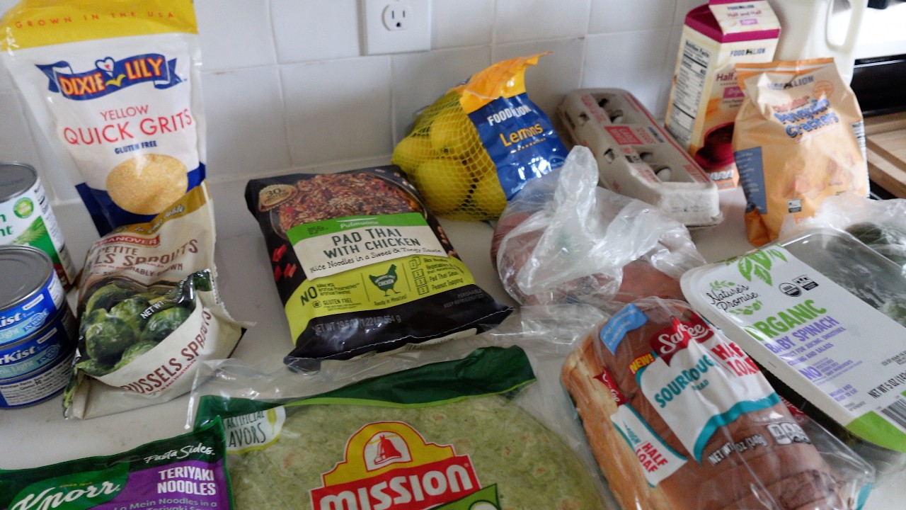 Grocery shopping struggles * Prices are insane * Frugal shopping + a Food Lion Haul * Taste test