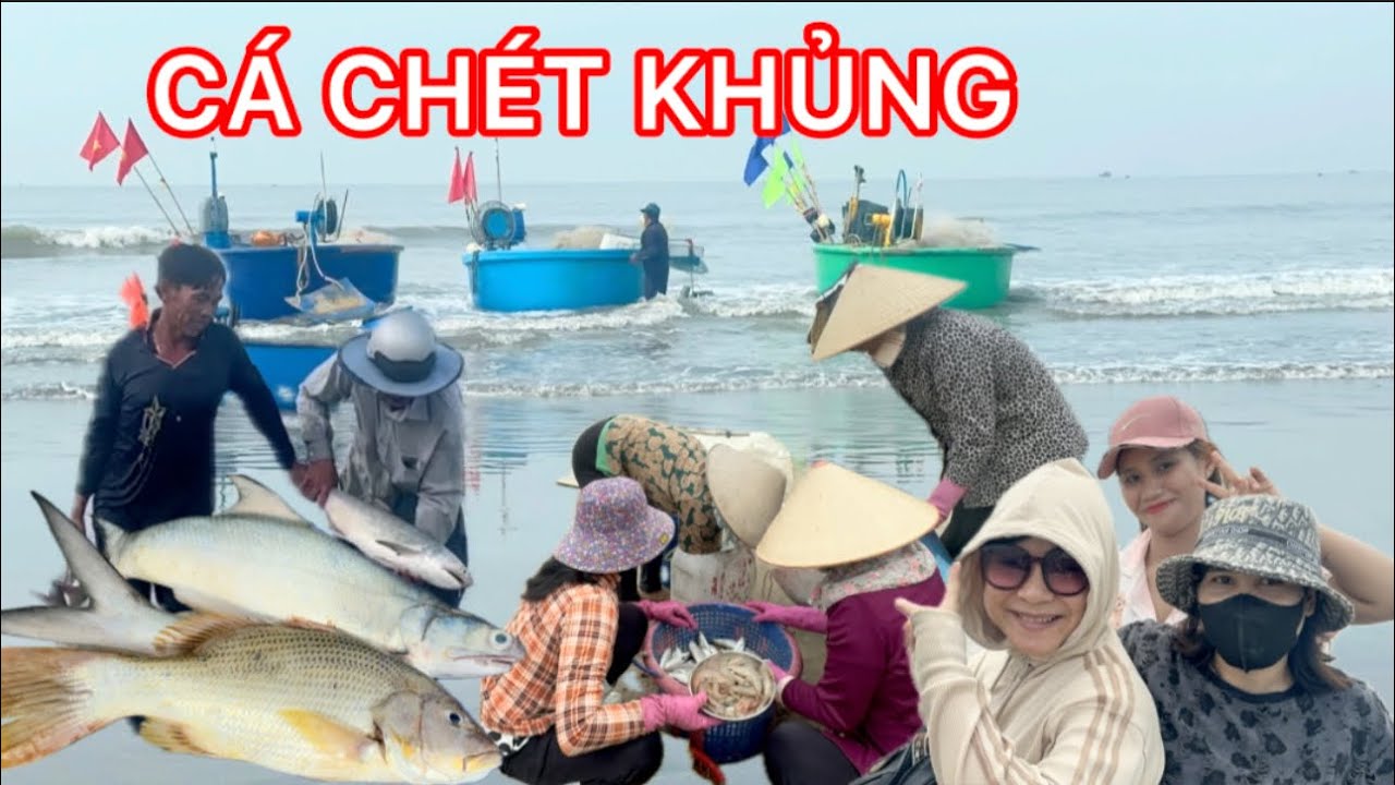 THUYỀN THÚNG BIỂN LONG HẢI TRÚNG MẼ CÁ CHÉT TO GIÁ HƠN 100K 1KG