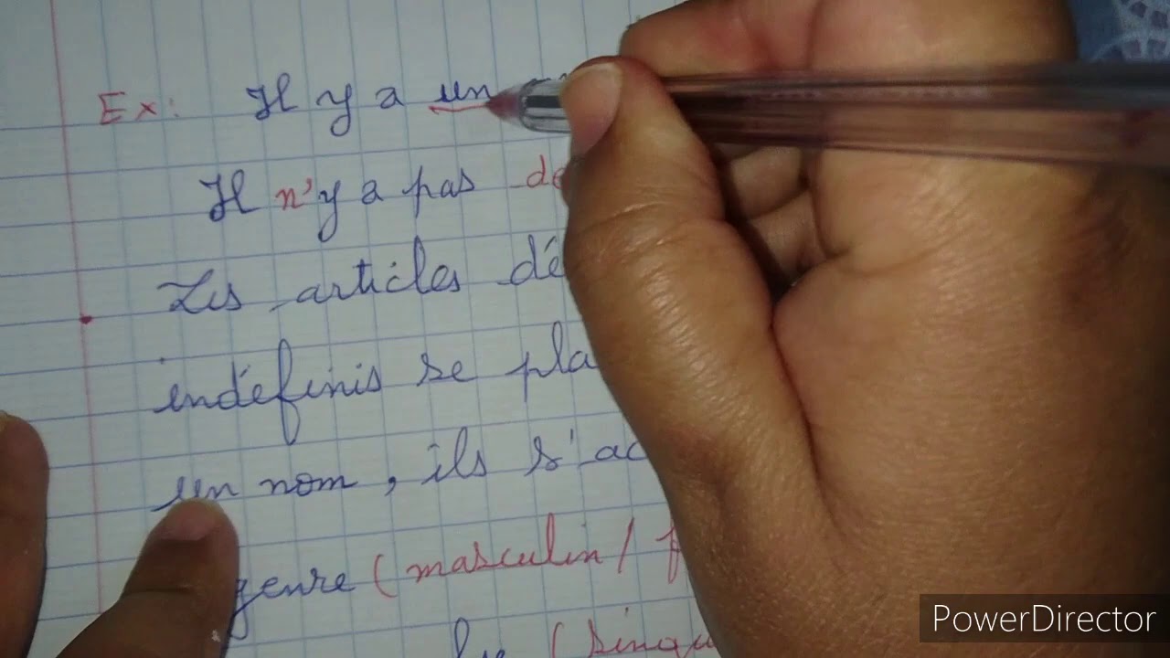 Projet 1 séquence 1(4AP) les articles définis et indéfinis ➕ des exercices sur le cahier d'activité