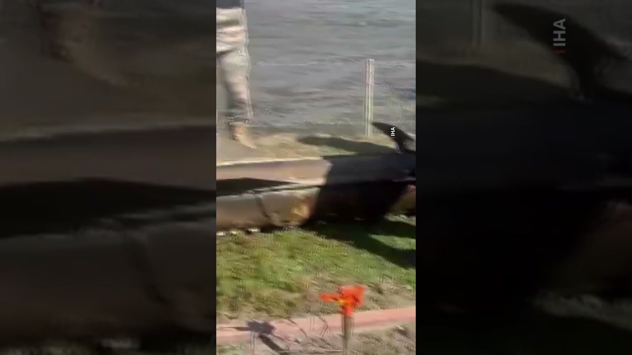 NATO air defense debris falls in Turkey after hitting Iranian missile