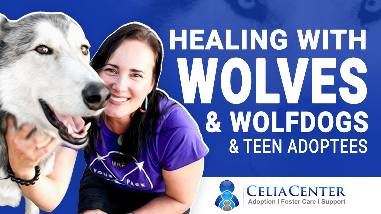Wolves and Teens Connected by Foster Care & Adoption 