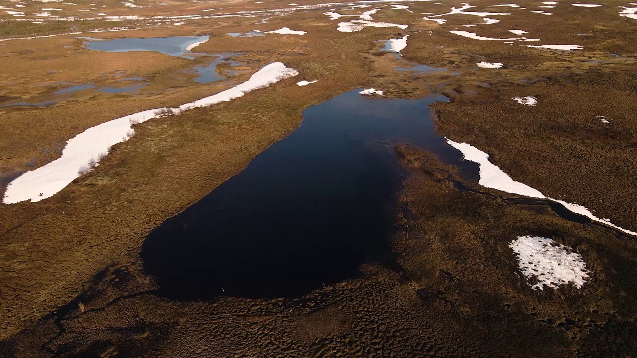 Sennaland/Finnmarksvidda 4k Midtnightsun mood