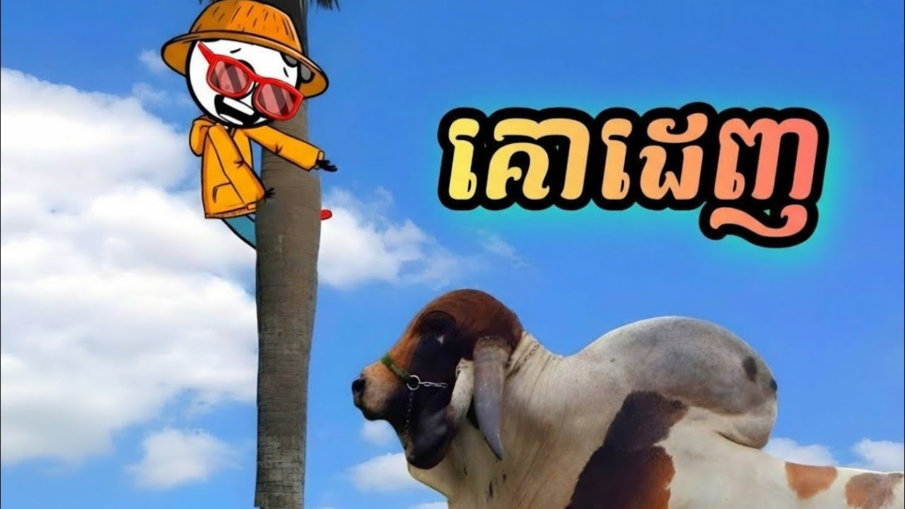 គោដេញ ( រឿងបងប្អូនភ្លោះ ភាគ68 )