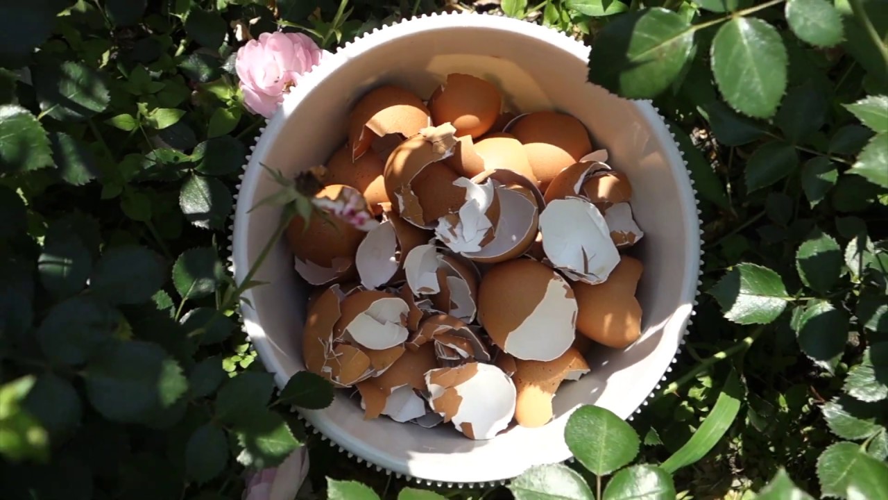 EggShell Ceramic - Atelier LVDW
