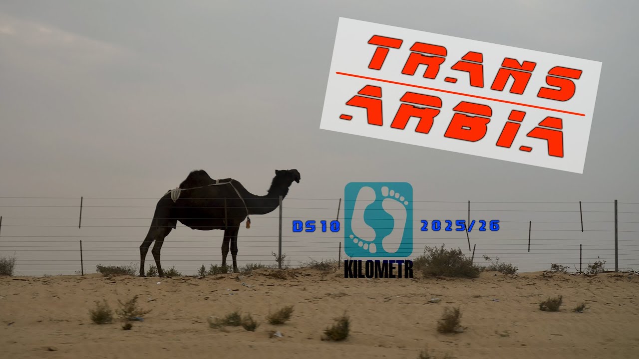 TransArabia 1/6 2025