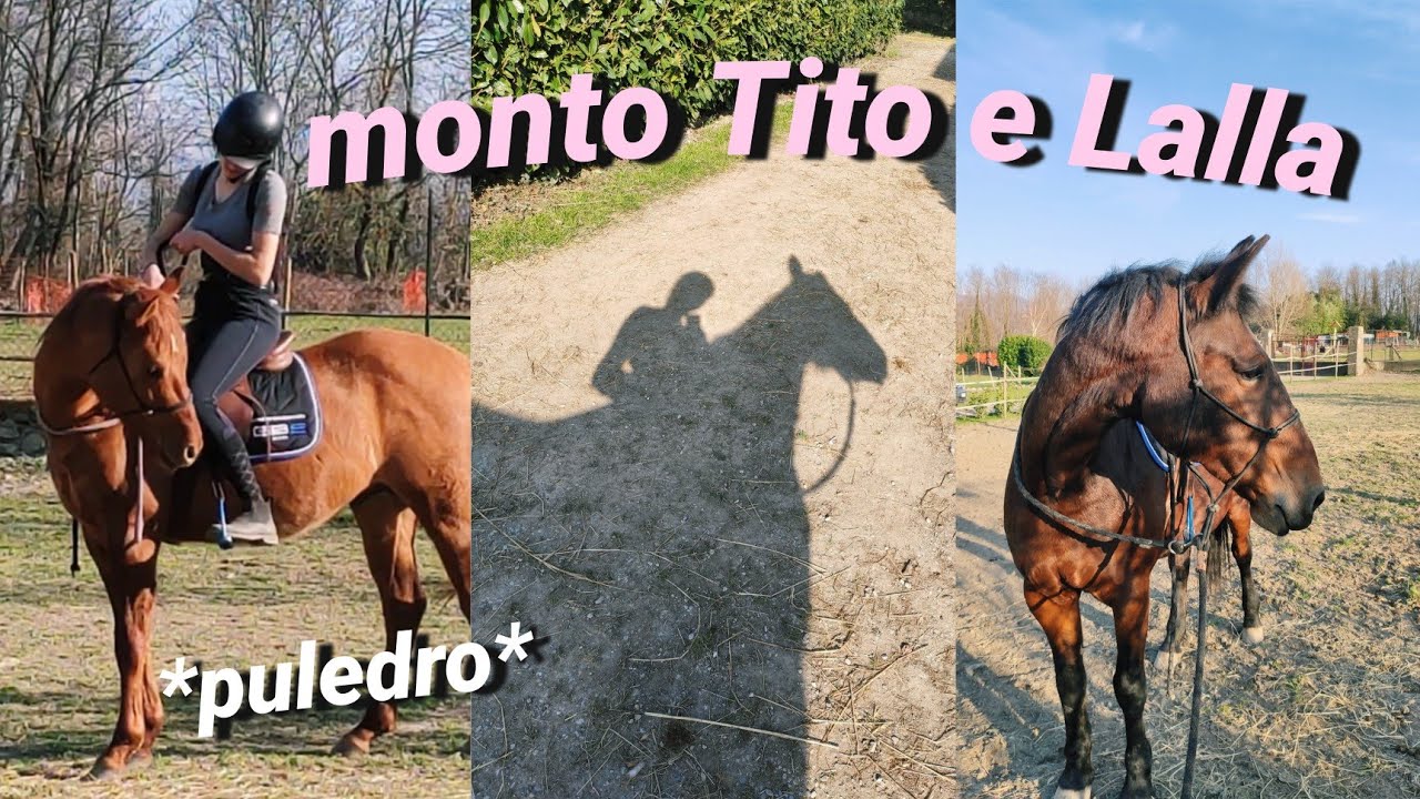 MONTO IL MIO PULEDRO DI TRE ANNI e la mia cavalla Lalla | VLOG DI 2 GIORNI PT 1 | Sara Aventino