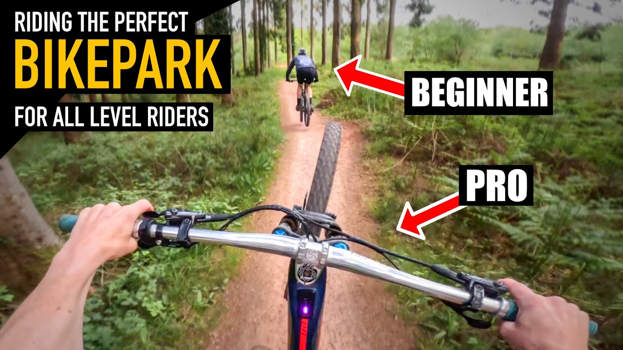 HERE'S WHY FOREST OF DEAN MTB TRAILS ARE PERFECT FOR ALL LEVEL RIDERS...