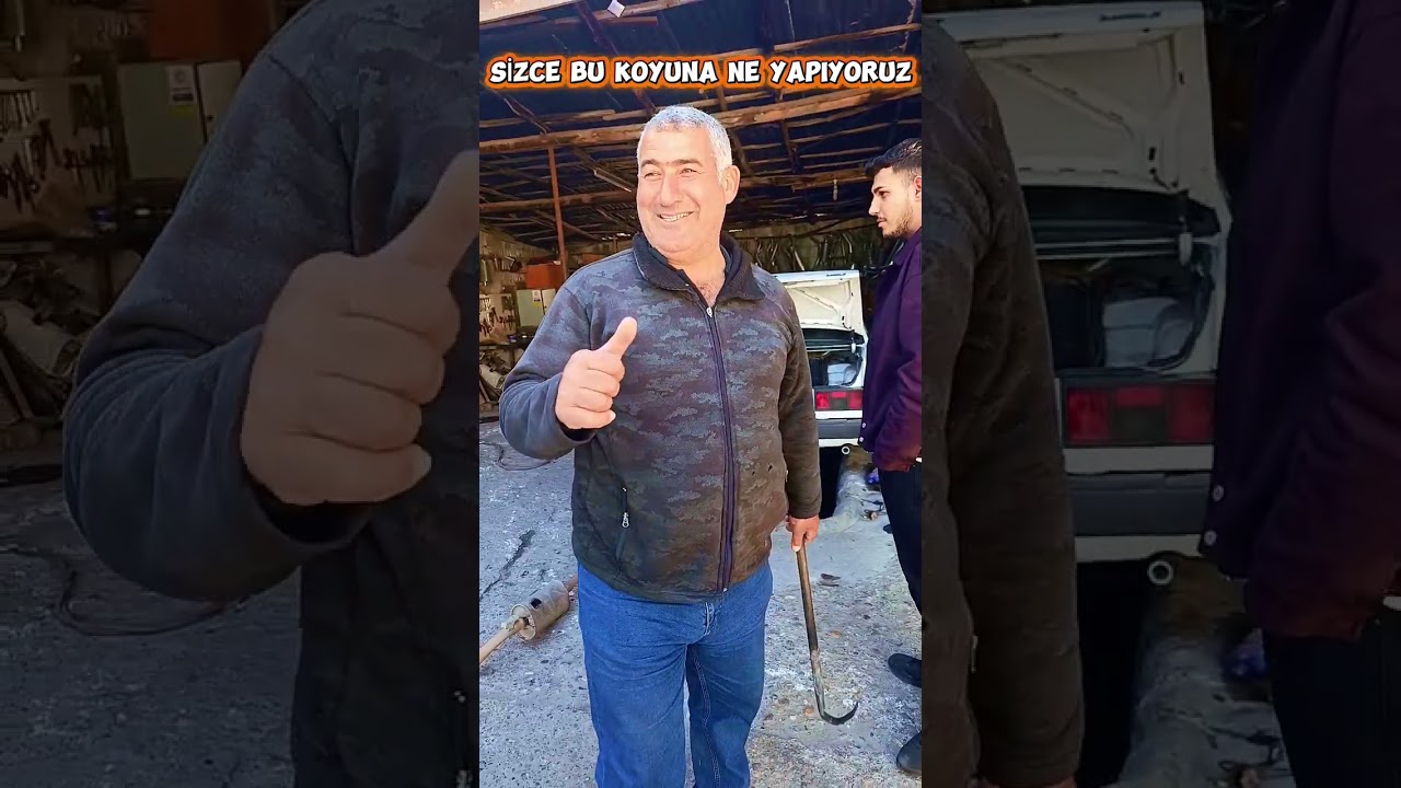 SİZCE BU KOYUNA NE YAPİYORUZ? #kurbanlık #koyun #yavruhayvanlar #çiftlik 