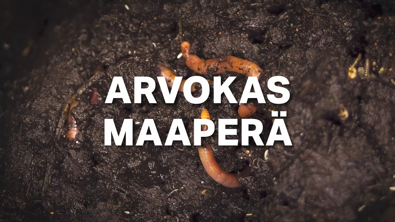 Arvokas maaperä