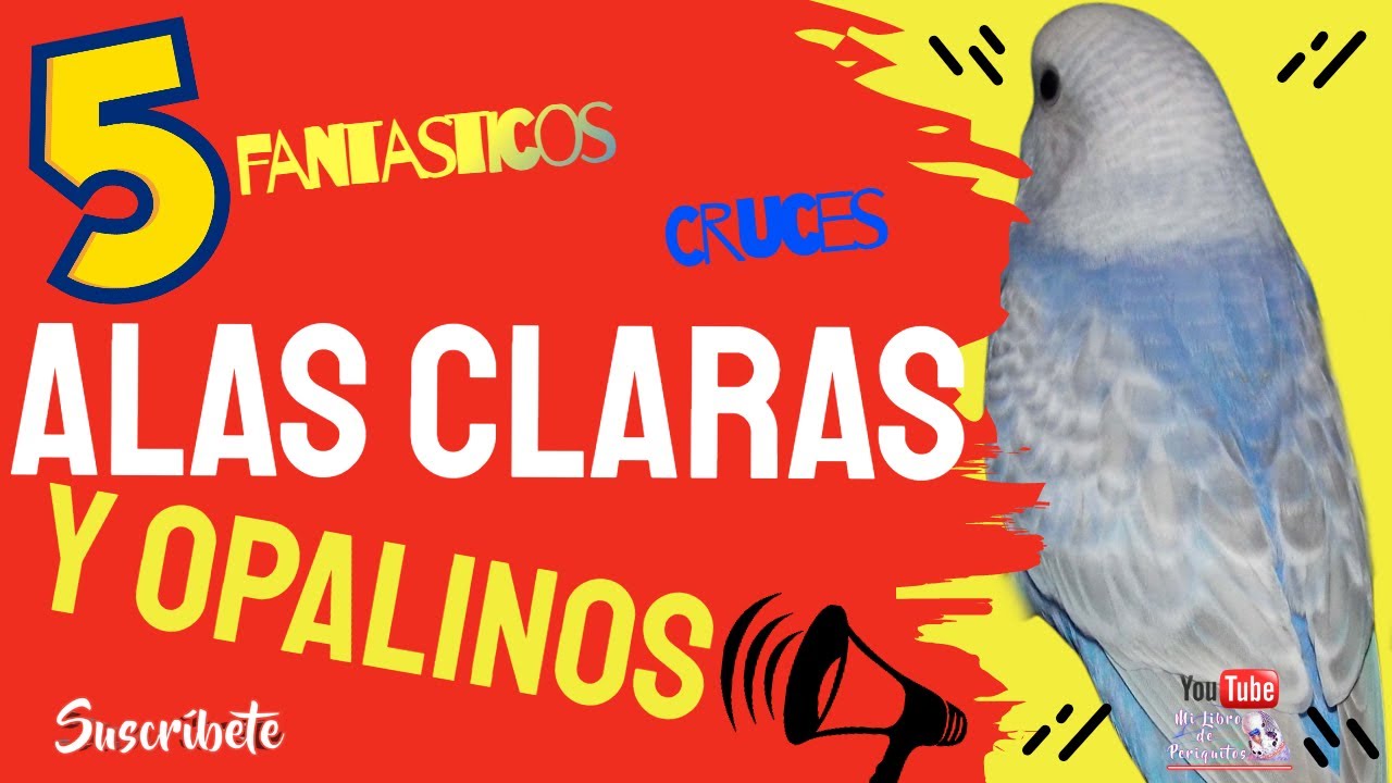Alas Claras y Opalinos 🚨 Cruces Fantasticos