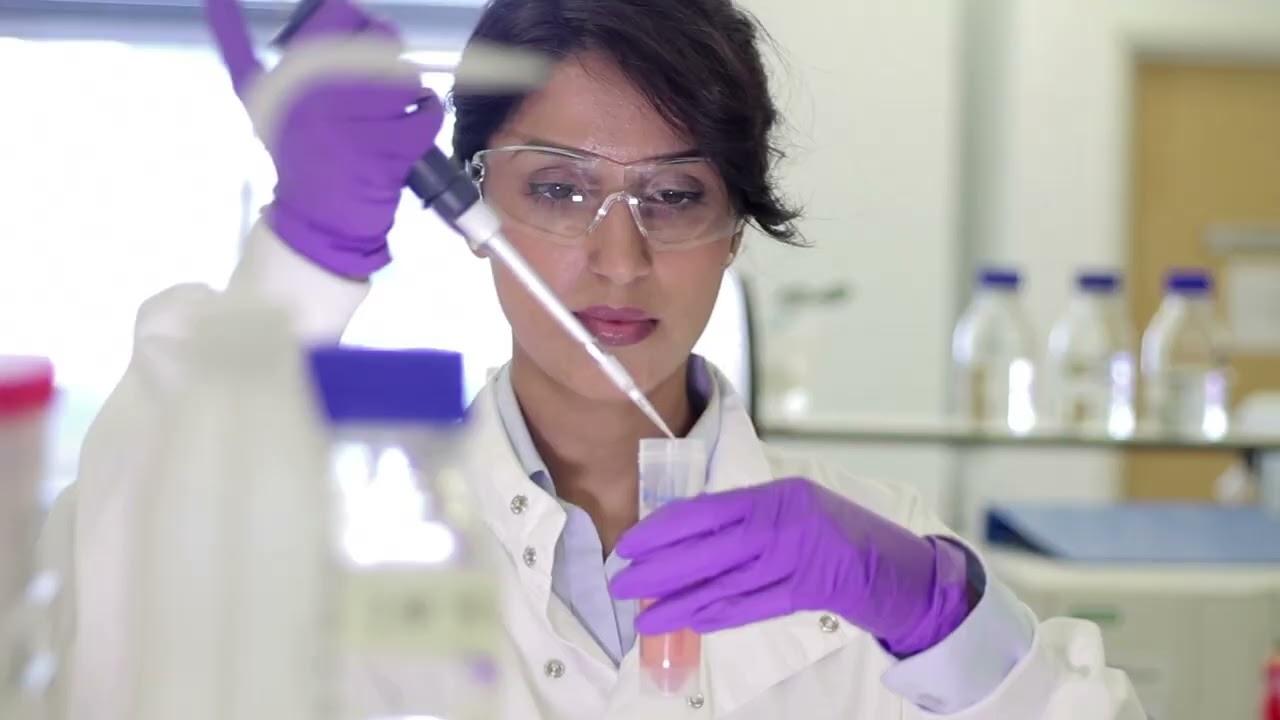 Perspektif 2053 Vizyonu