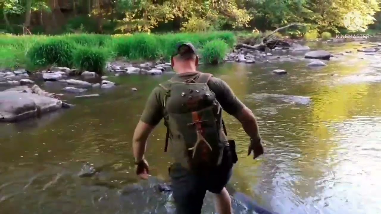 Údolí divoké řeky Oslavy