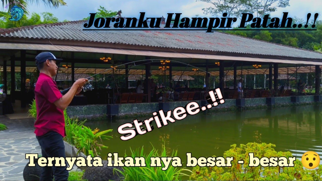 Umpan & Spot Terbaik Untuk Memancing Bareng Bersama Keluarga 😍 di Westlake Resto Jogja