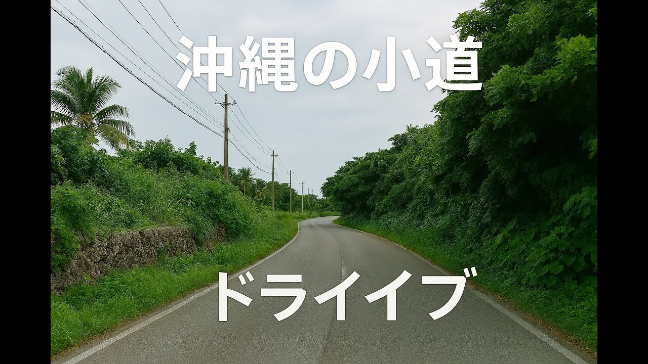沖縄の細い道をドライブ｜静かなローカルロードの風景