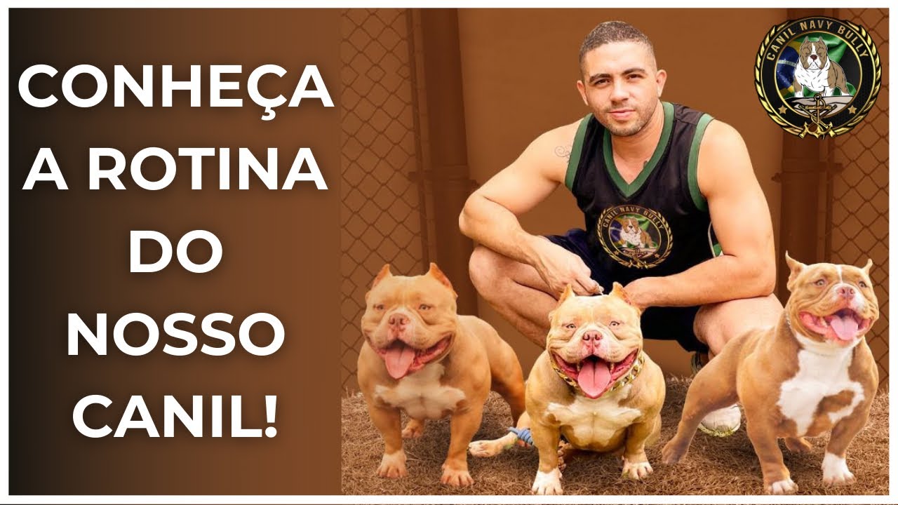 Dia a dia do Canil Navy Bully, Parte 2! Dicas de manejo, cuidado com filhotes, alimenta&ccedil;&atilde;o dos c&atilde;es.
