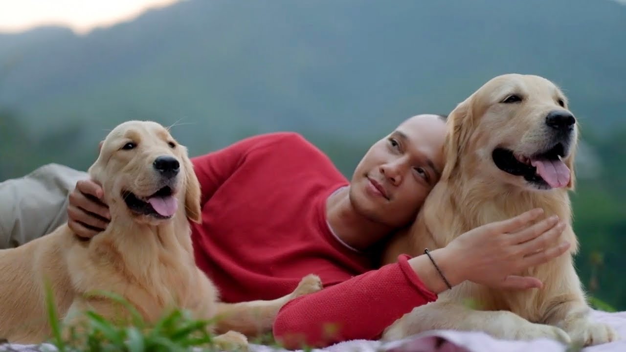 DOGVENTURE EPISODE 10 - MENIKMATI KEINDAHAN SUKABUMI DENGAN SNOWEE SNOWA