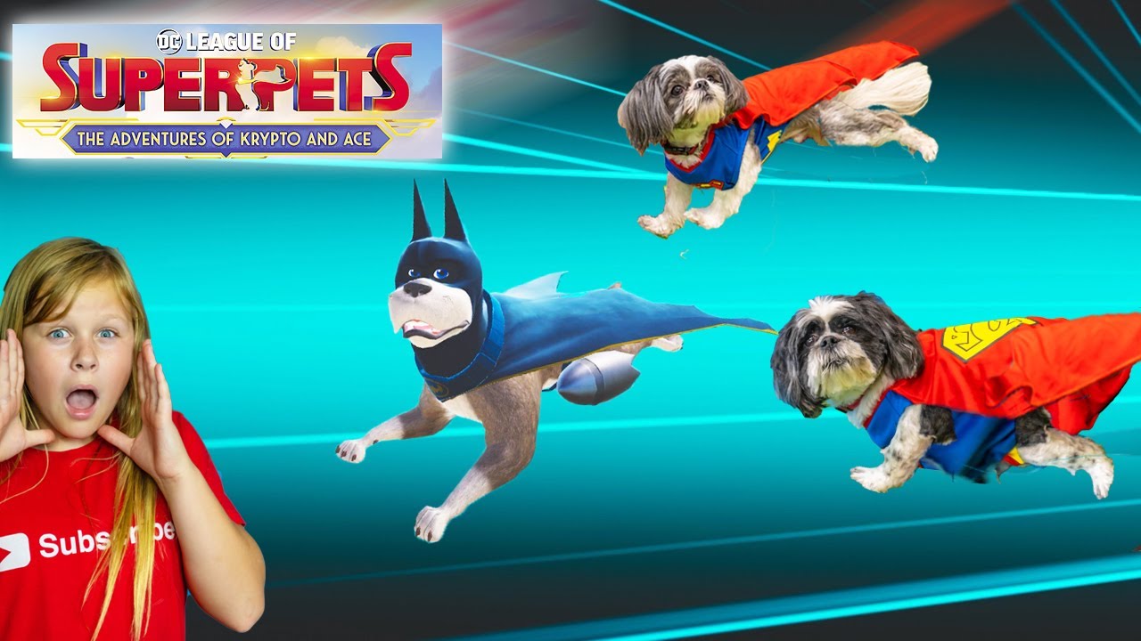 Assistant and Wiggles & Waggles Play DC League of Super-Pets: The Adventures of Krypto and Ace