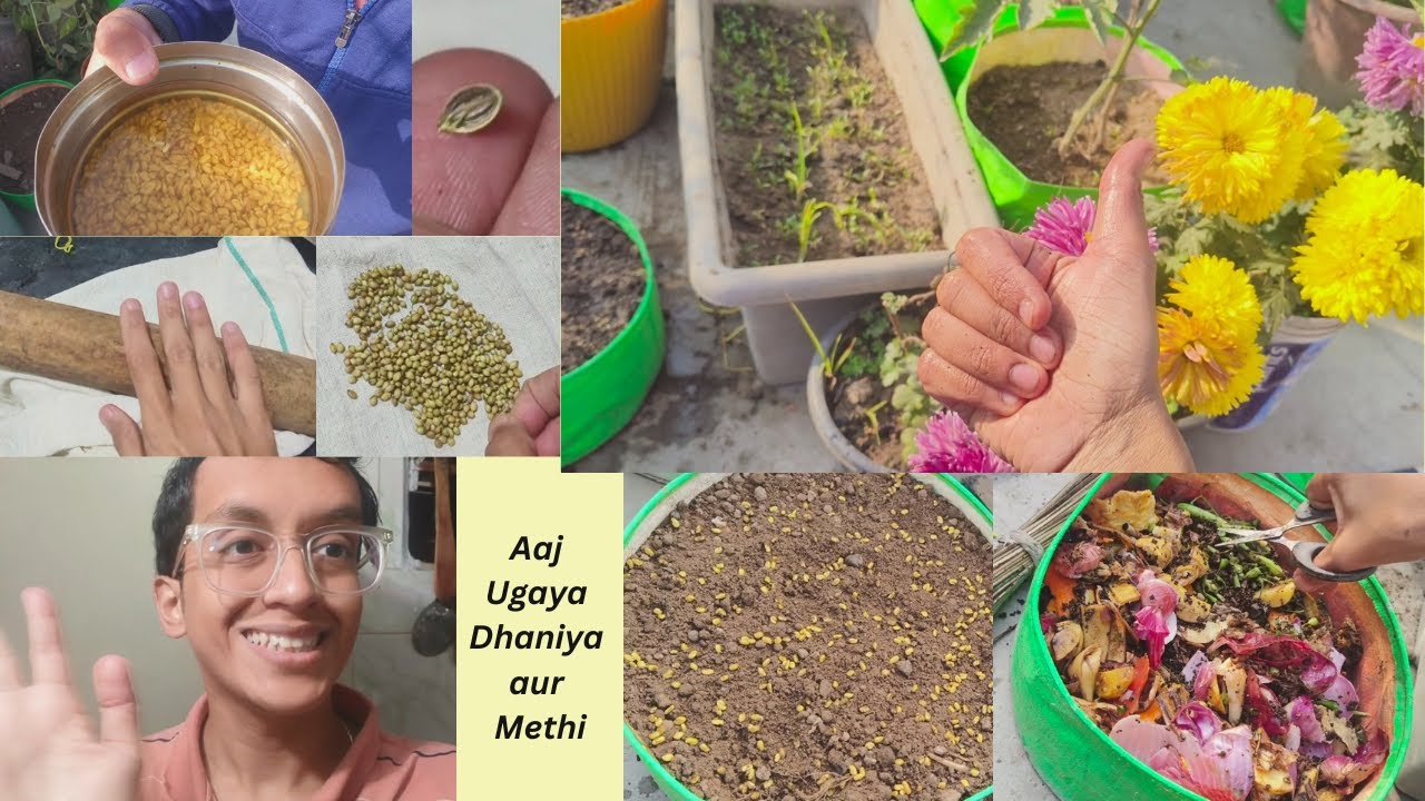 How to Grow Dhaniya & Methi at Home | Easy Seed Planting Trick 🌱