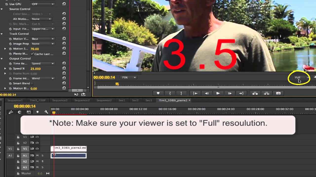 RE:Vision FX and Premiere: Frame Rate Conversion and Mixed Formats