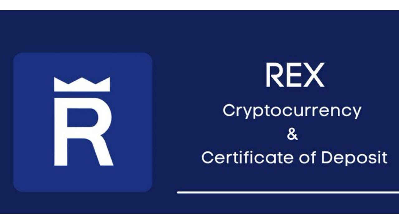 Обзор проекта $REX