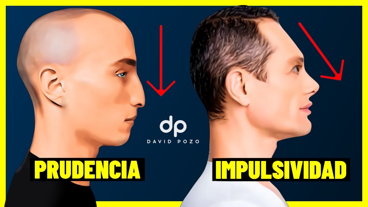 Curso Básico de Morfopsicología (6/7):  Impulsividad vs Control