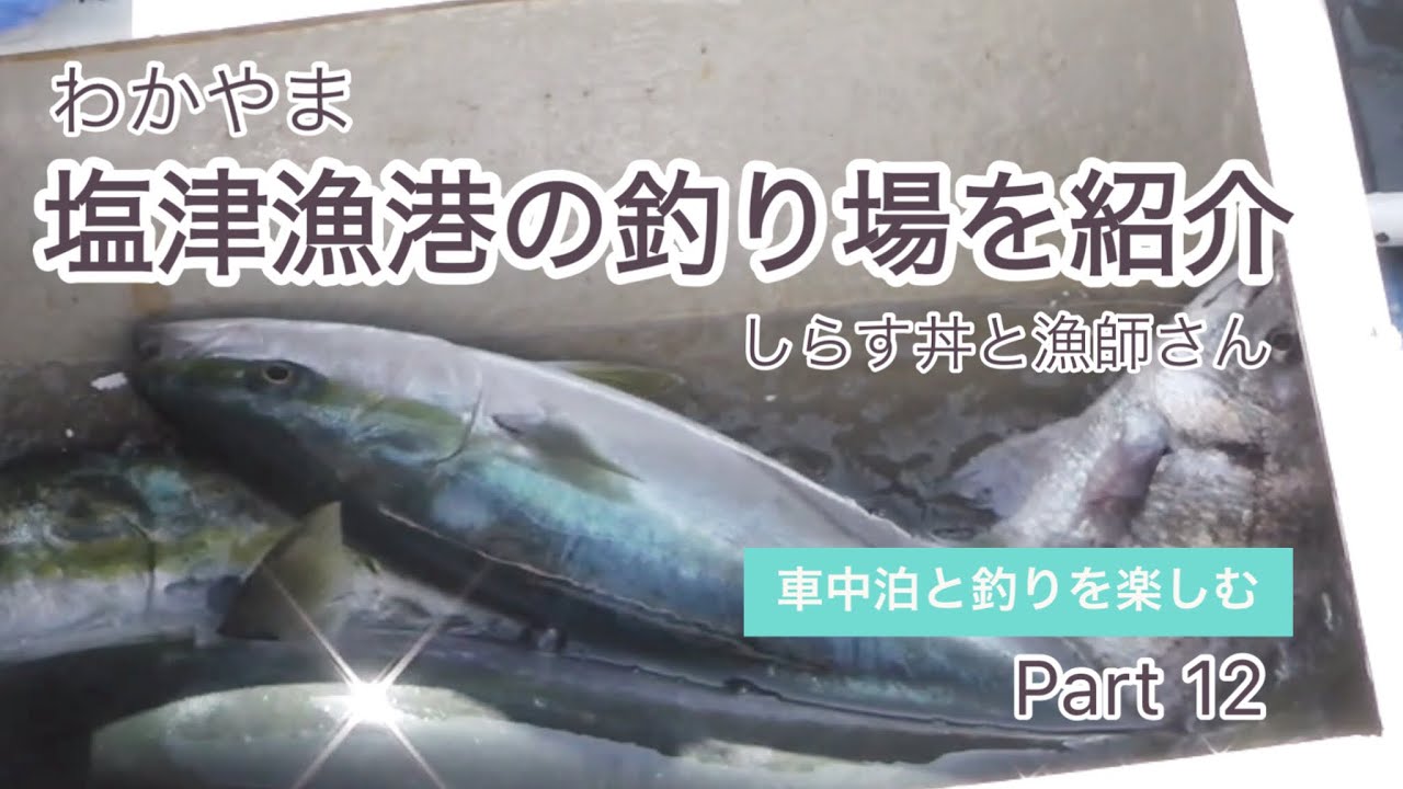 【和歌山 塩津漁港】【車中泊】塩津漁港の釣り場を紹介 - 車中泊してゆっくり釣りを楽しむ？ 好きな事をして週末を楽しく過ごす - Part 12 #和歌山 #釣り場#釣りに行く