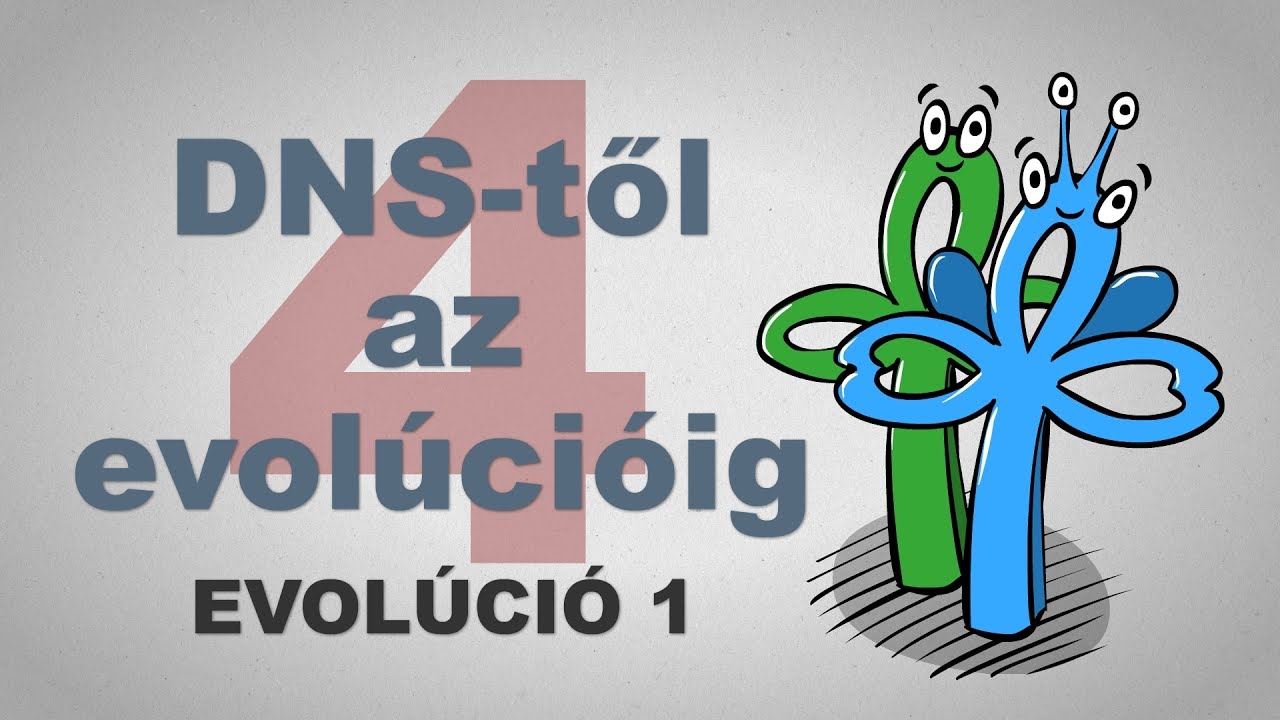 A DNS-től az evol&uacute;ci&oacute;ig - csak egyszerűen (4. r&eacute;sz)