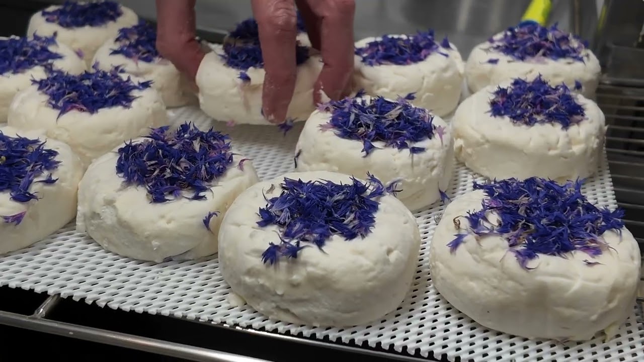 Film Institutionnel Fromagerie Lemarié 2026