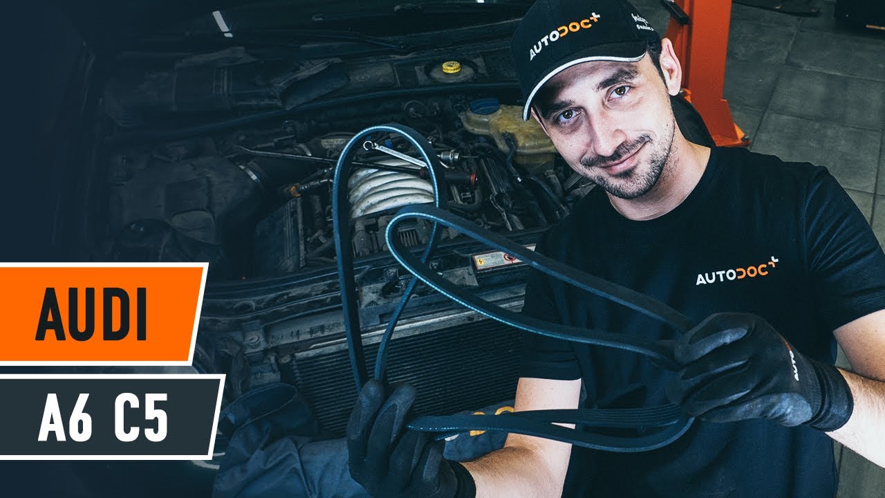Kaip pakeisti dirzas polifoninis AUDI A6 C5 Avant [AUTODOC PAMOKA]