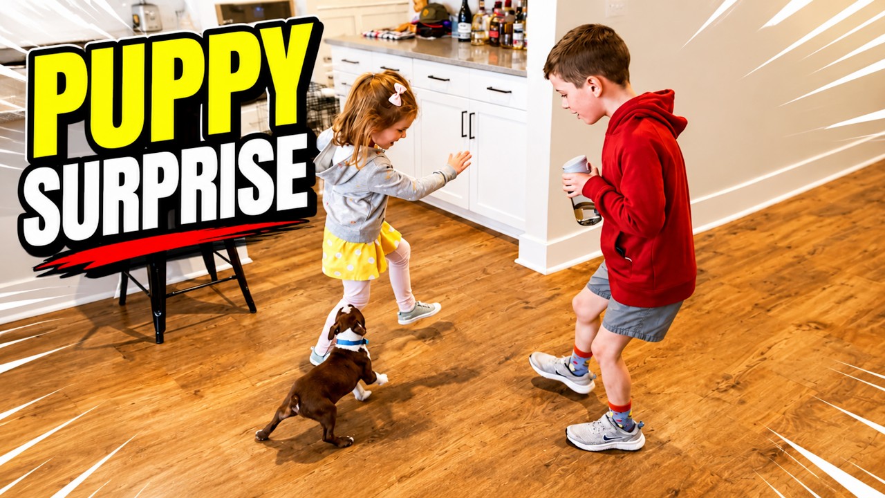 Cutest Puppy Surprise Compilation  | Emotional Reactions & Happy Moments