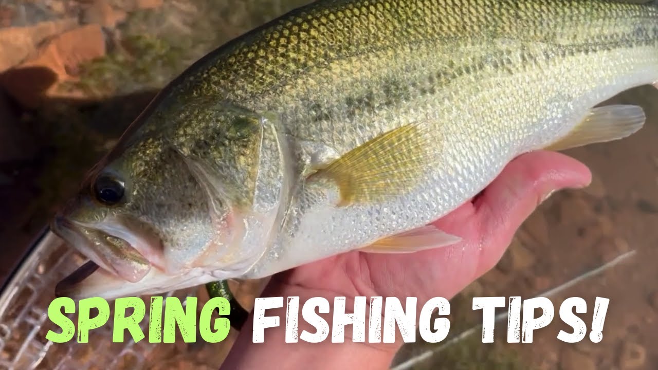 Sand Hollow Reservoir Fishing: How to Catch Bass