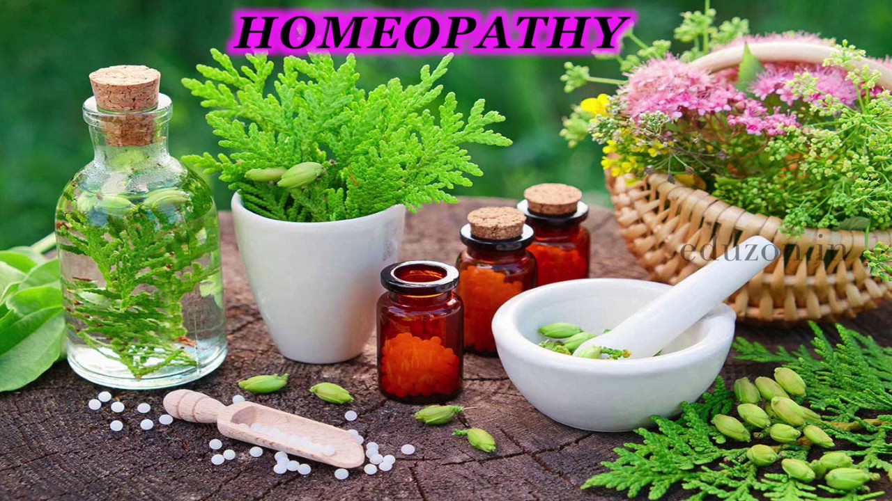 How to Become a Homeopathic Doctor: Education and Career Roadmap