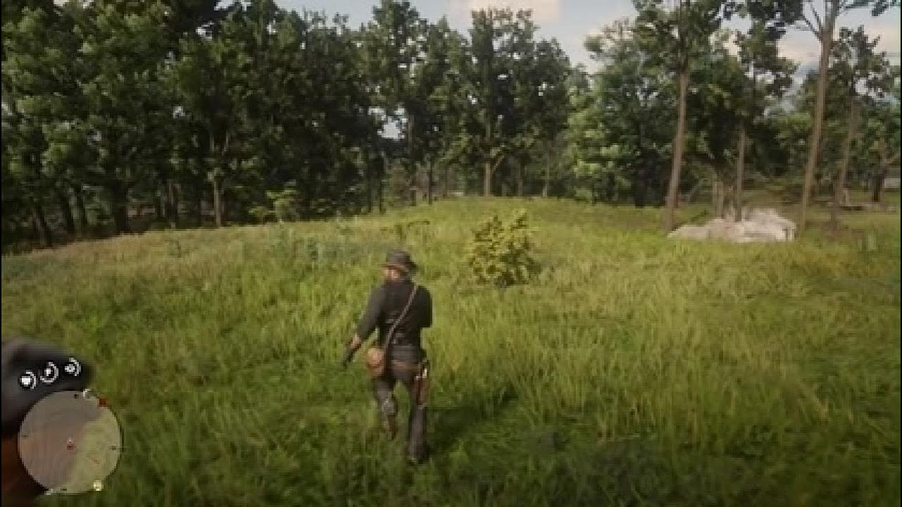 Most normal day in rdr2